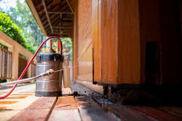 Best Pest Removal Services  in Old Saybrook Center, CT